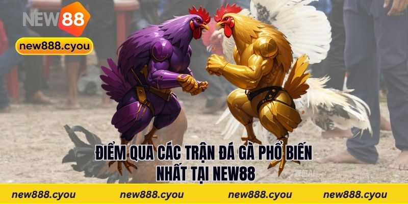 Điểm qua các trận đá gà phổ biến nhất tại New88