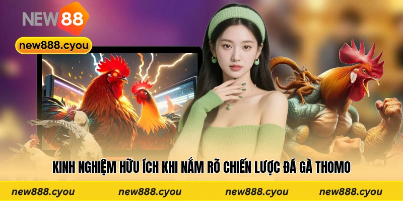 Kinh nghiệm hữu ích khi nắm rõ chiến lược đá gà Thomo