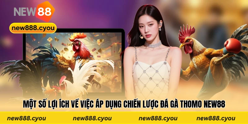 Một số lợi ích về việc áp dụng chiến lược đá gà Thomo New88