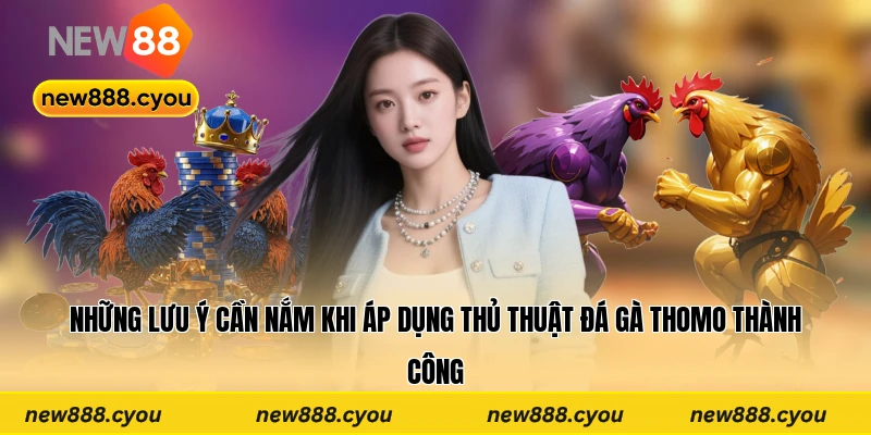 Những lưu ý cần nắm khi áp dụng thủ thuật đá gà Thomo thành công