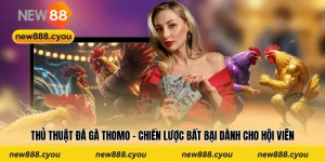 Thủ Thuật Đá Gà Thomo - Chiến Lược Bất Bại Dành Cho Hội Viên 