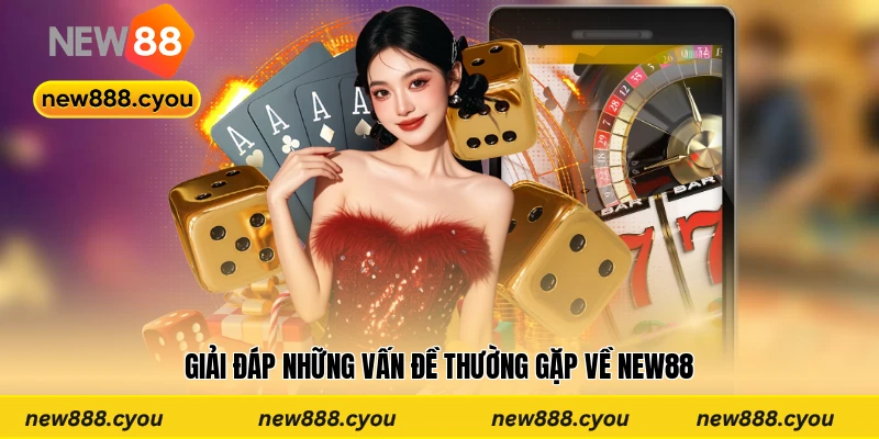 Giải đáp những vấn đề thường gặp về New88