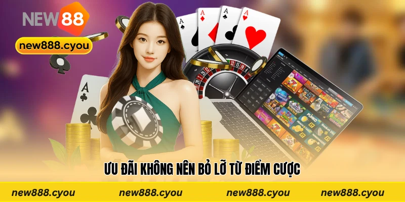 Ưu đãi không nên bỏ lỡ từ điểm cược